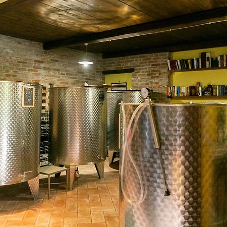 Ca Trifolera Barbaresco - Romantico Cascinale Con Antica Cantina Nel Cuore Delle Langhe - Degustazione Vini Nella Nostra Cantina Kültér fotó