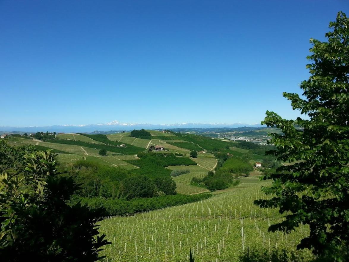 Ca Trifolera Barbaresco - Romantico Cascinale Con Antica Cantina Nel Cuore Delle Langhe - Degustazione Vini Nella Nostra Cantina Kültér fotó