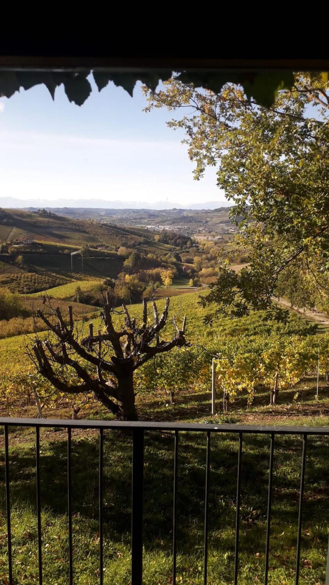 Ca Trifolera Barbaresco - Romantico Cascinale Con Antica Cantina Nel Cuore Delle Langhe - Degustazione Vini Nella Nostra Cantina Kültér fotó