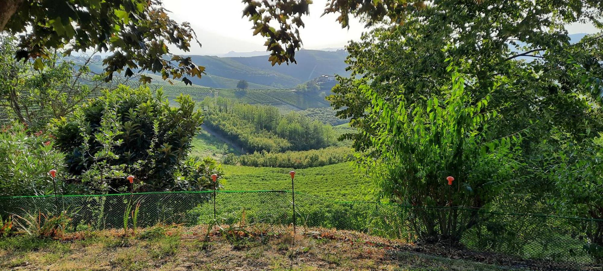 Ca Trifolera Barbaresco - Romantico Cascinale Con Antica Cantina Nel Cuore Delle Langhe - Degustazione Vini Nella Nostra Cantina Kültér fotó