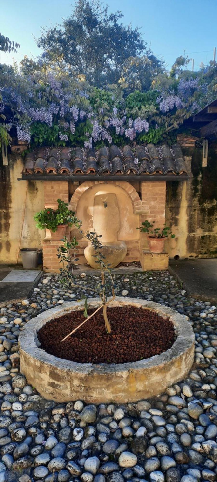Ca Trifolera Barbaresco - Romantico Cascinale Con Antica Cantina Nel Cuore Delle Langhe - Degustazione Vini Nella Nostra Cantina Kültér fotó
