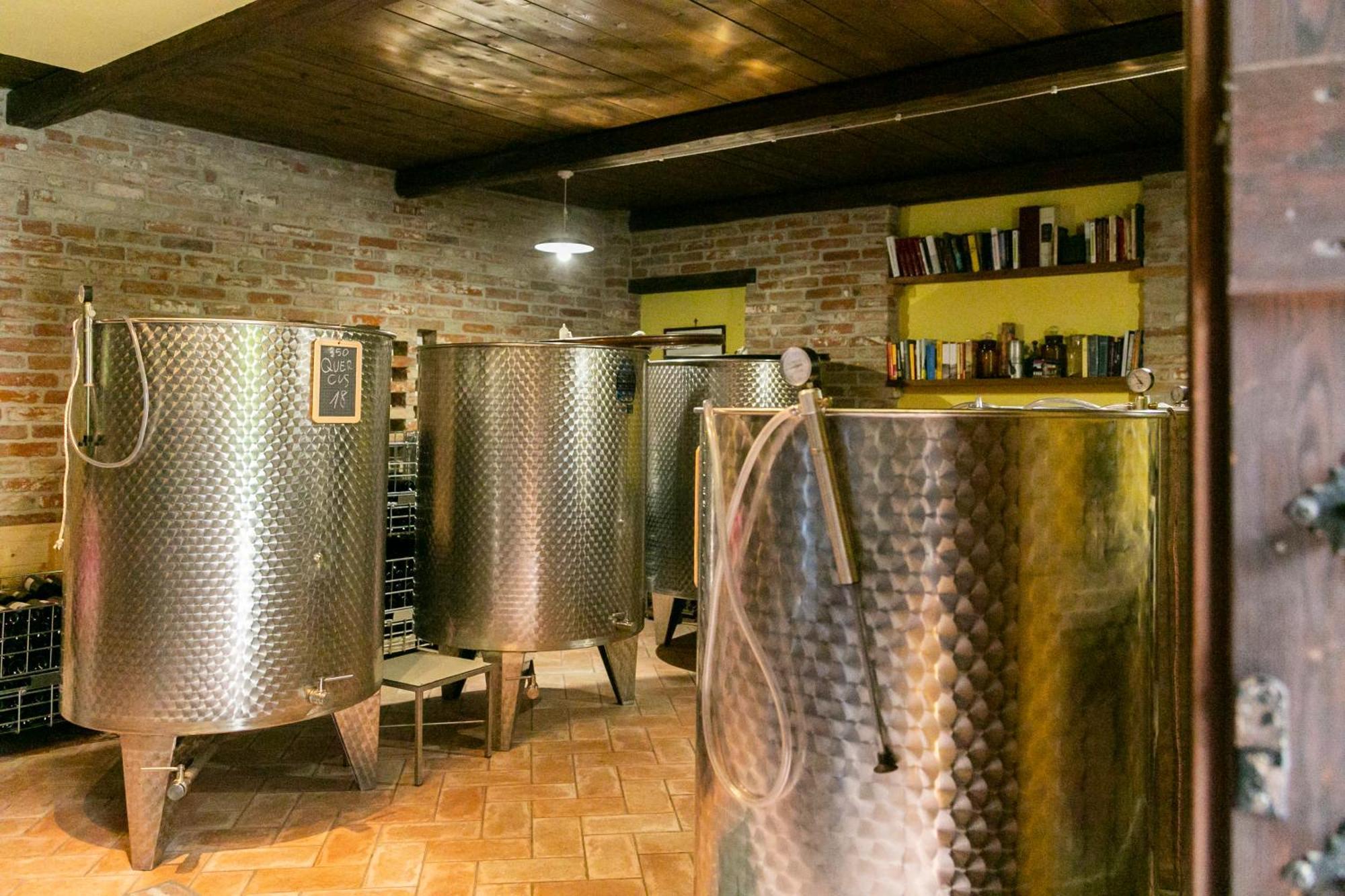 Ca Trifolera Barbaresco - Romantico Cascinale Con Antica Cantina Nel Cuore Delle Langhe - Degustazione Vini Nella Nostra Cantina Kültér fotó