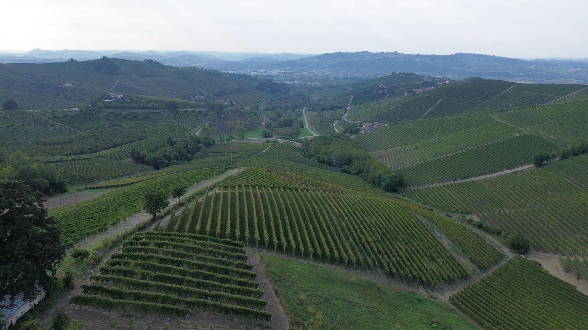 Ca Trifolera Barbaresco - Romantico Cascinale Con Antica Cantina Nel Cuore Delle Langhe - Degustazione Vini Nella Nostra Cantina Kültér fotó